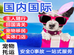 吕梁大武机场物流国际宠物托运 【国